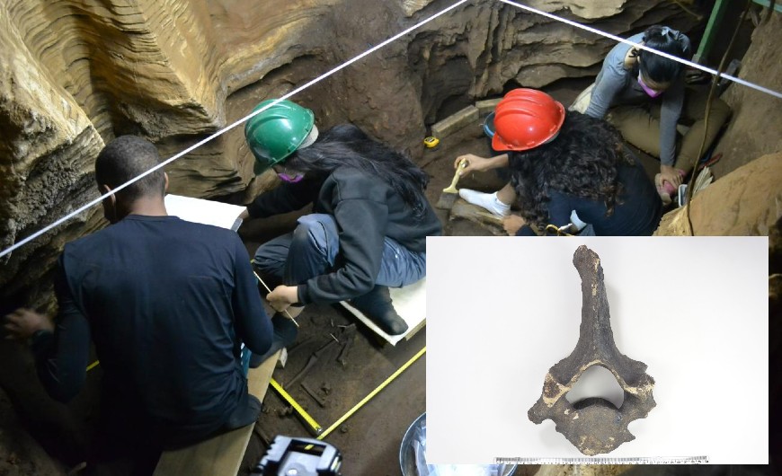 Fóssil de preguiça gigante é achado em caverna da Amazônia