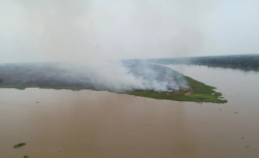 Imagem Pantanal tem recorde de queimadas em 2024