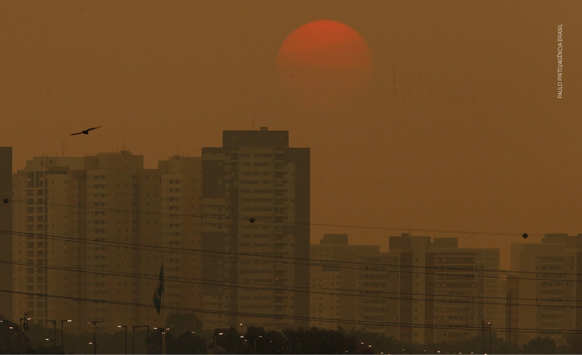 Imagem 10 milhões afetados por queimadas no Brasil