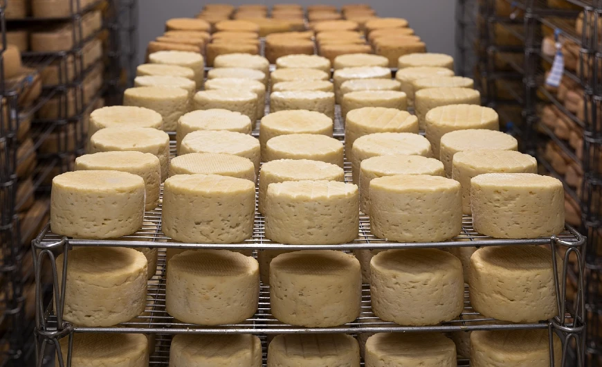 Imagem Preparo do queijo Minas é reconhecido