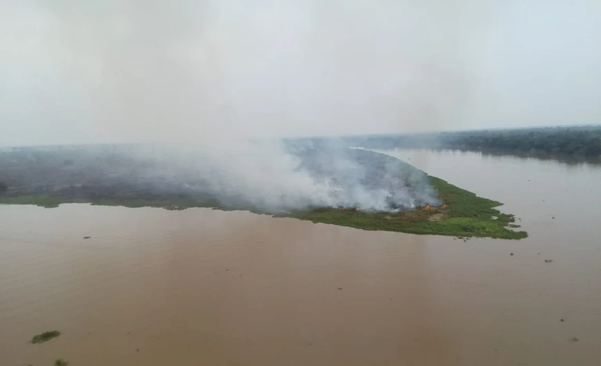 Pantanal tem recorde de queimadas em 2024