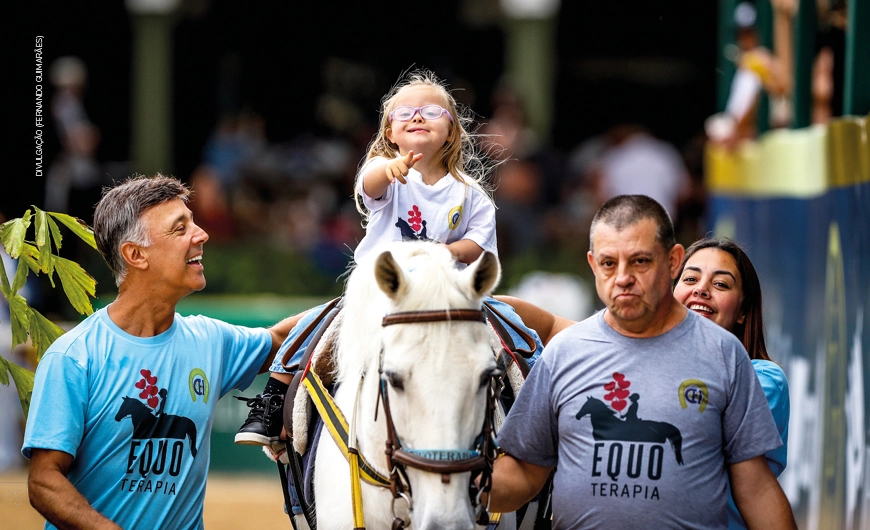 Cavalos que divertem... e curam