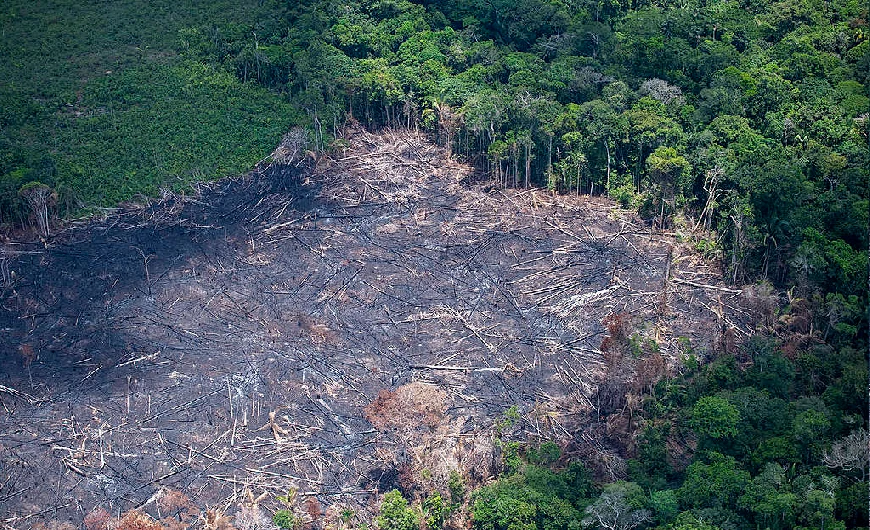 Imagem Desmatamento cai 32% no Brasil