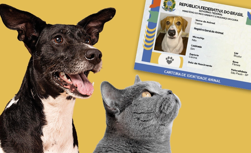 Imagem RG animal traz mais segurança e proteção