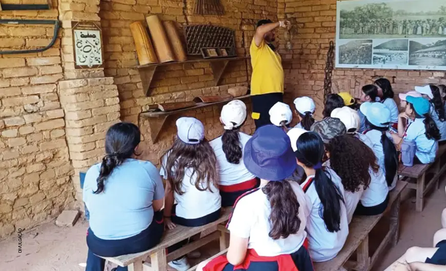 Ciclo do café ganha vida em escola de SP